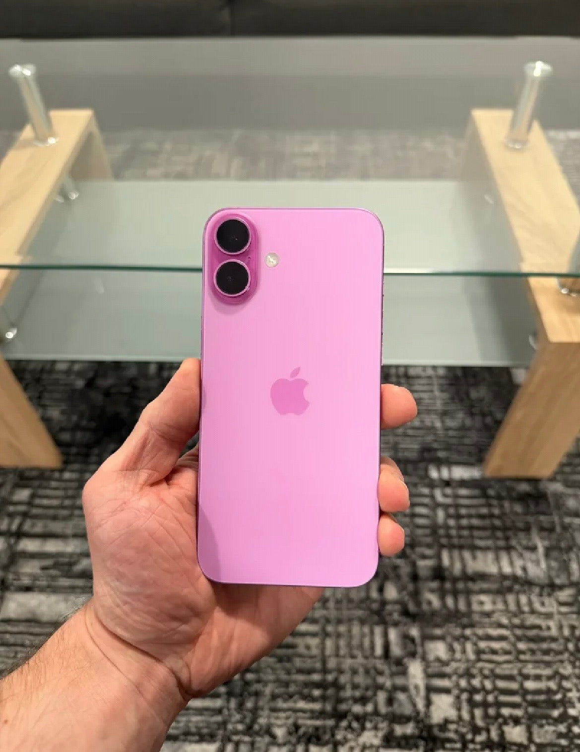 iPhone 16 Plus